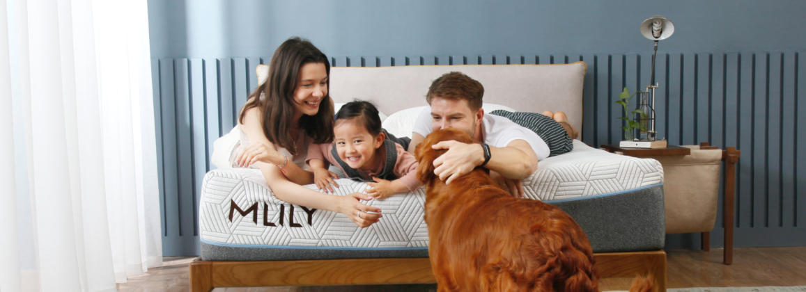 Mlily Foam Mattresses at Jerry's Furniture in Jamestown ND