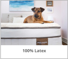 Englander 100% Latex Mattresses at Jerry's Furniture in Jamestown North Dakota