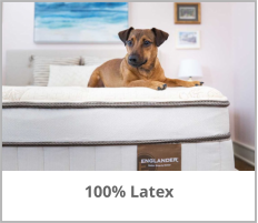 Englander 100% Latex Mattresses at Jerry's Furniture in Jamestown North Dakota