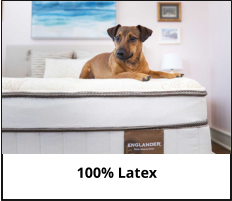 Englander 100% Latex Mattresses at Jerry's Furniture in Jamestown North Dakota